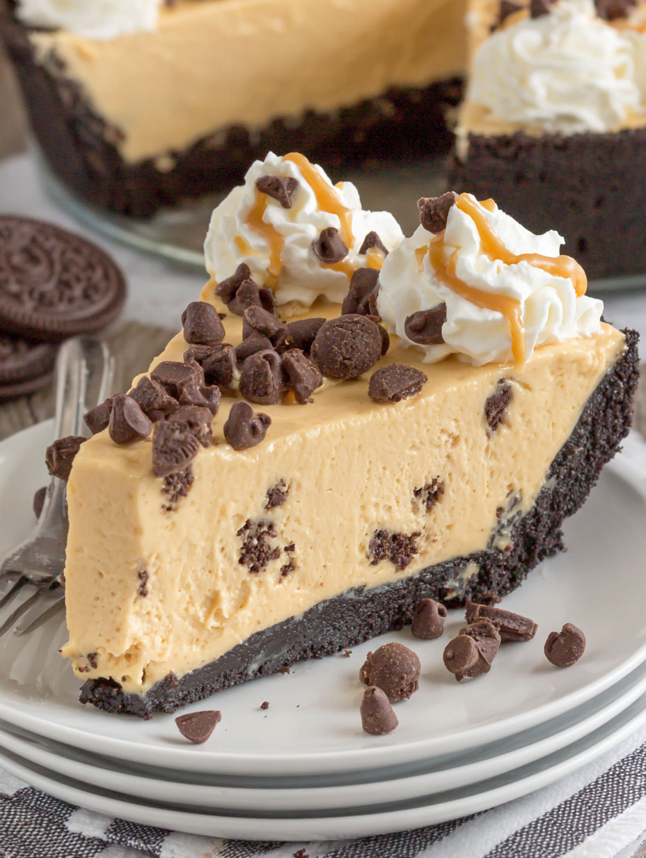 A slice of chocolate cake with whipped cream and chocolate chips.