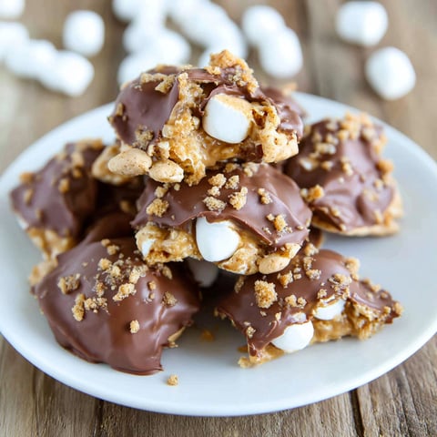 A plate of chocolate and marshmallow treats.