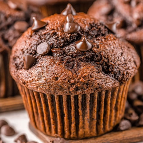 A close up of a chocolate muffin with chocolate chips.