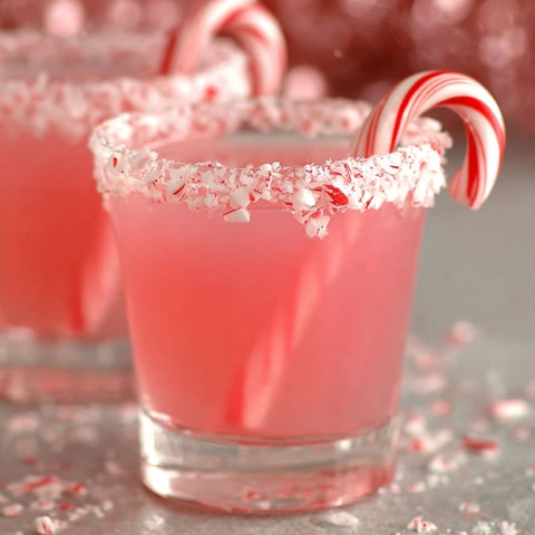 Two glasses of Peppermint Infused Vodka.